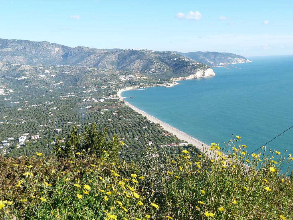 Orchidea Mattinata Parco Del Gargano Leilighet Eksteriør bilde