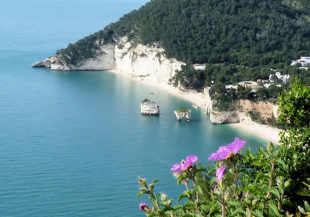 Orchidea Mattinata Parco Del Gargano Leilighet Eksteriør bilde